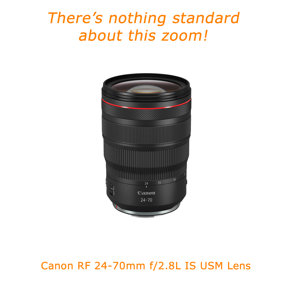 The Rent Lenses and Cameras from Canon, Nikon, Olympus